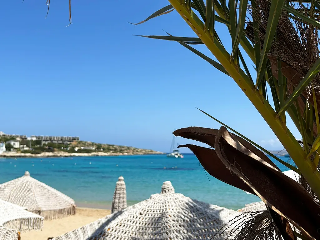 Marathi beach palms view