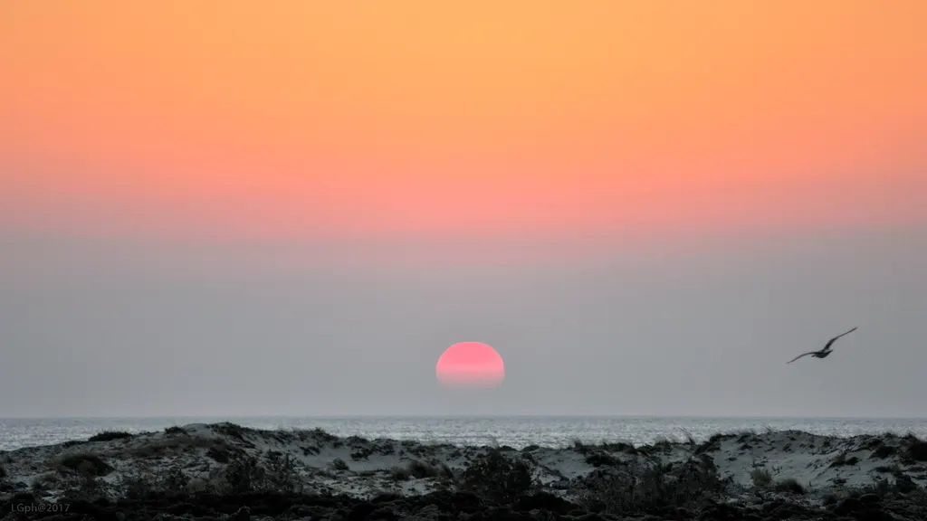 Soft pink sand meeting the calm, turquoise lagoon waters at Elafonissi beach, Crete.