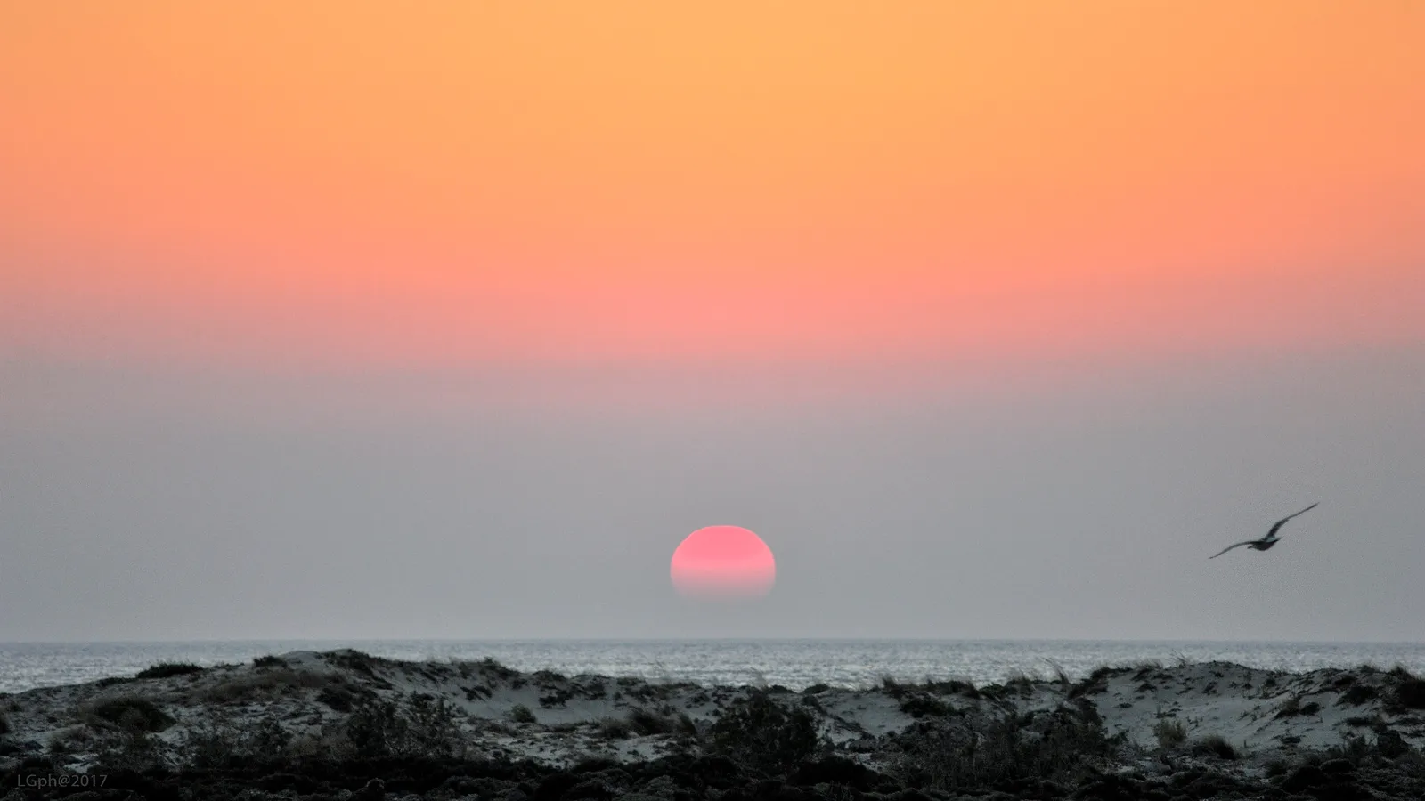 Soft pink sand meeting the calm, turquoise lagoon waters at Elafonissi beach, Crete.