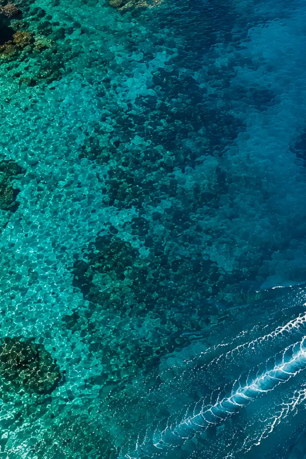 Search Hero background of a turcuace clean water